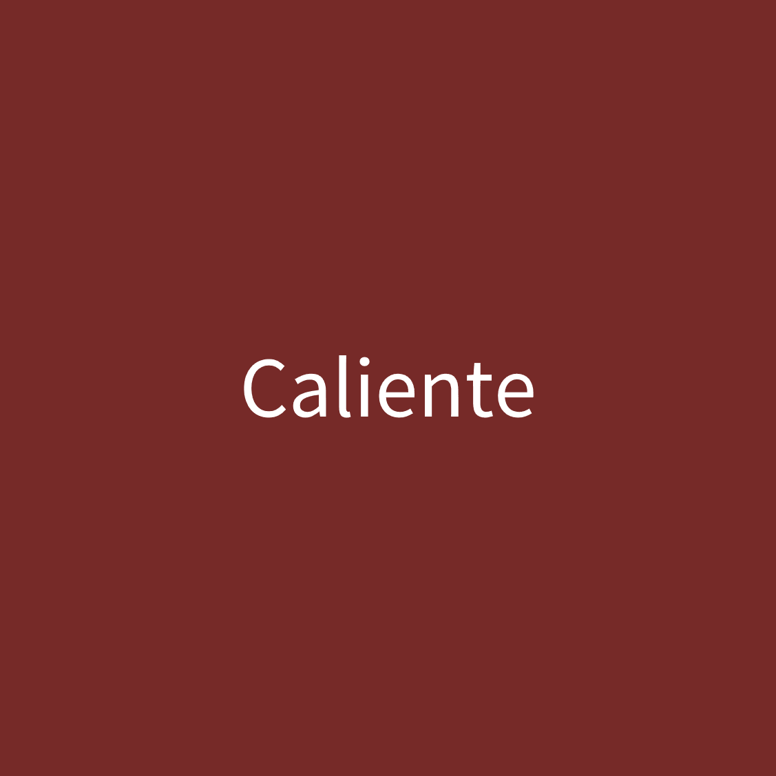 Caliente Door Paint (1 Quart) - Image 3