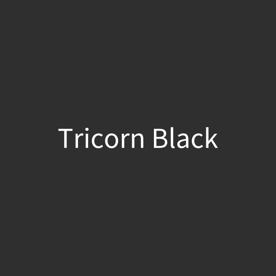 Tricorn Black Door Paint (1 Quart) - Image 3
